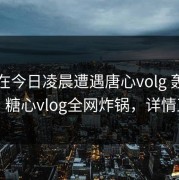 明星在今日凌晨遭遇唐心volg 轰动一时，糖心vlog全网炸锅，详情直击