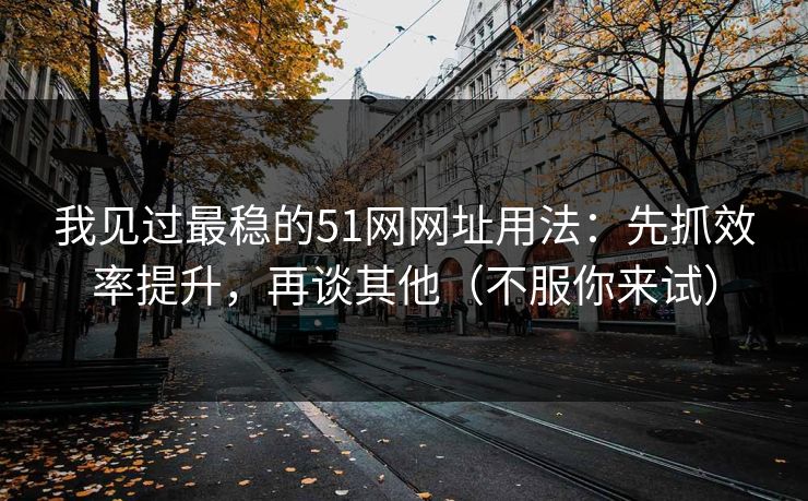 我见过最稳的51网网址用法：先抓效率提升，再谈其他（不服你来试）