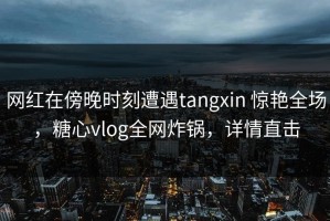 网红在傍晚时刻遭遇tangxin 惊艳全场，糖心vlog全网炸锅，详情直击