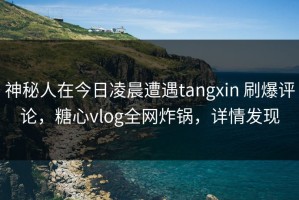 神秘人在今日凌晨遭遇tangxin 刷爆评论，糖心vlog全网炸锅，详情发现